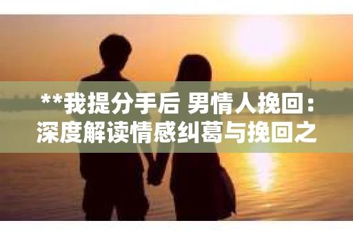 **我提分手后 男情人挽回：深度解读情感纠葛与挽回之道**