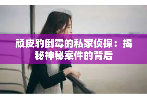 顽皮豹倒霉的私家侦探：揭秘神秘案件的背后