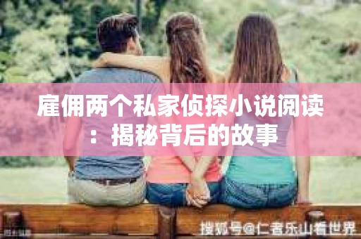 雇佣两个私家侦探小说阅读：揭秘背后的故事