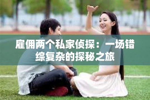 雇佣两个私家侦探：一场错综复杂的探秘之旅