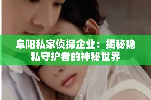 阜阳私家侦探企业：揭秘隐私守护者的神秘世界
