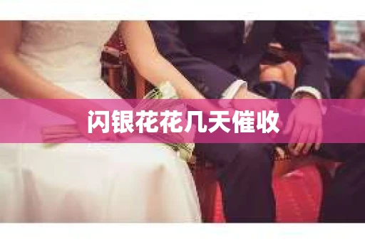 闪银花花几天催收