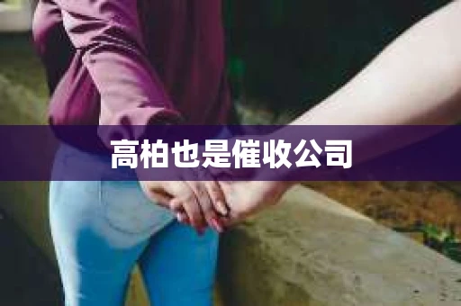 高柏也是催收公司