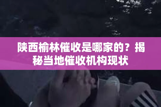 陕西榆林催收是哪家的？揭秘当地催收机构现状