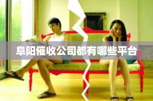 阜阳催收公司都有哪些平台