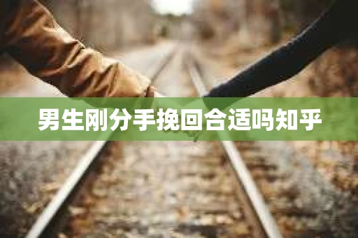 男生刚分手挽回合适吗知乎