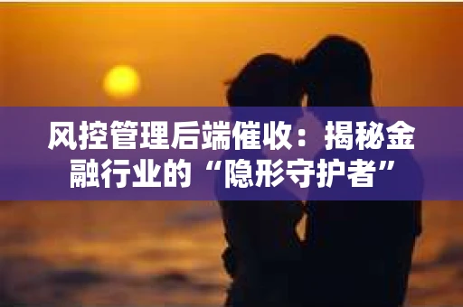 风控管理后端催收：揭秘金融行业的“隐形守护者”