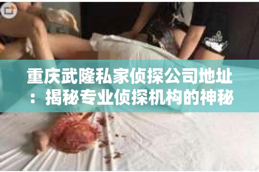重庆武隆私家侦探公司地址：揭秘专业侦探机构的神秘之门