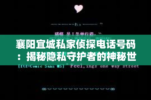 襄阳宜城私家侦探电话号码：揭秘隐私守护者的神秘世界
