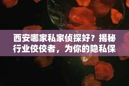 西安哪家私家侦探好？揭秘行业佼佼者，为你的隐私保驾护航