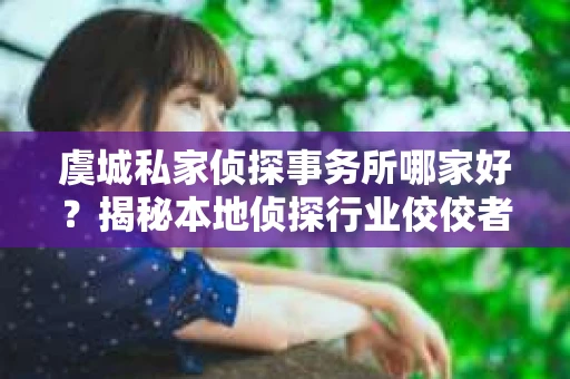 虞城私家侦探事务所哪家好？揭秘本地侦探行业佼佼者