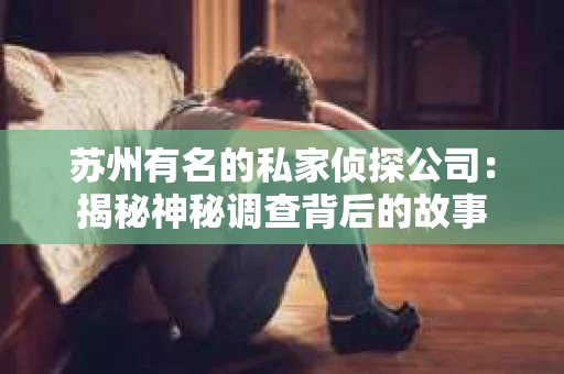 苏州有名的私家侦探公司：揭秘神秘调查背后的故事